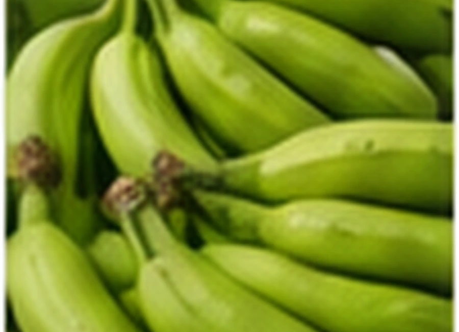 Plantain